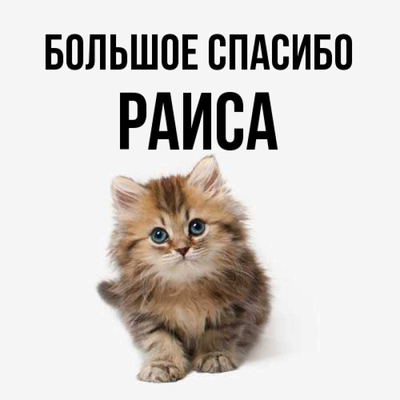 Картинка Большое спасибо, Раиса