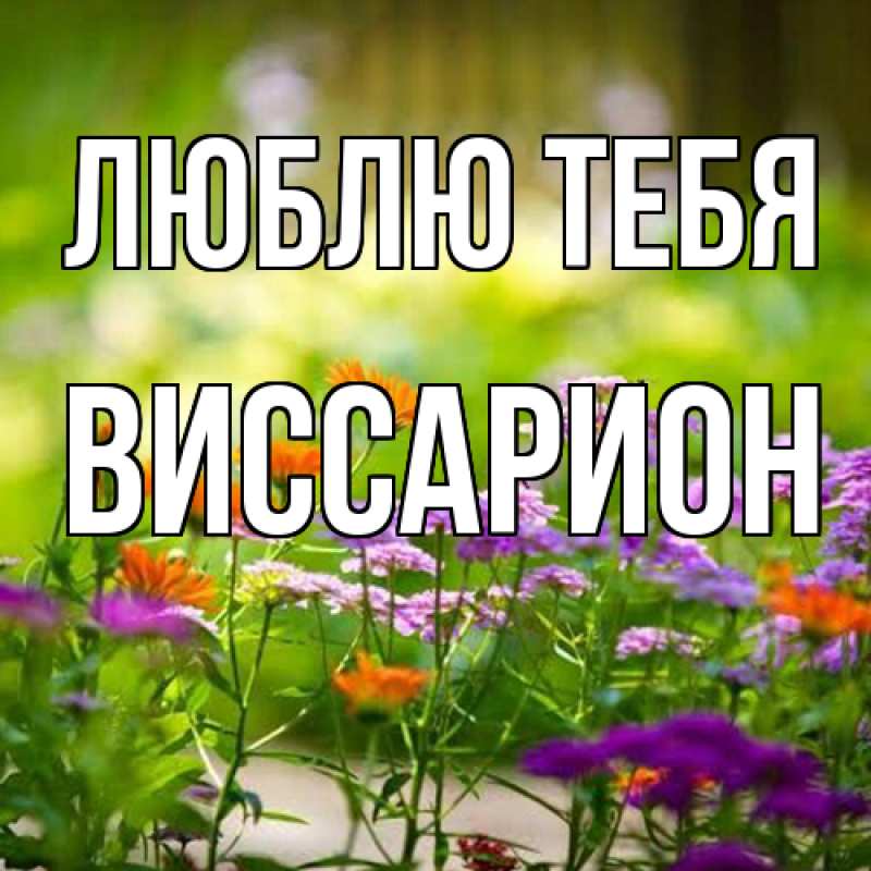 Открытка с именем, Виссарион, Люблю тебя