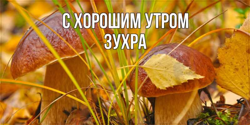 Картинка С хорошим утром, Зухра