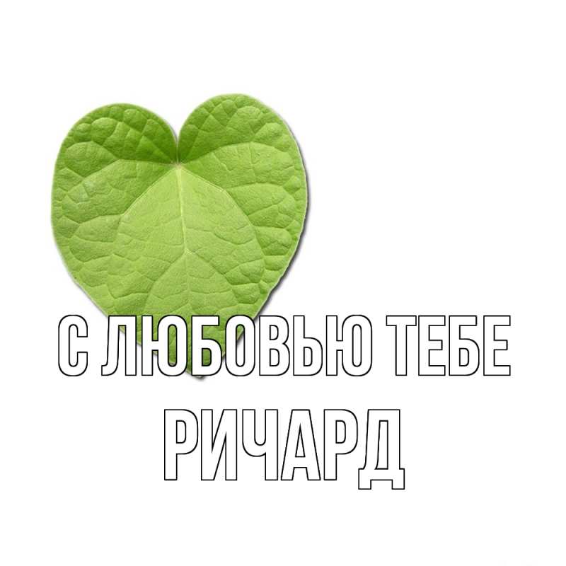 Картинка С любовью тебе, Ричард