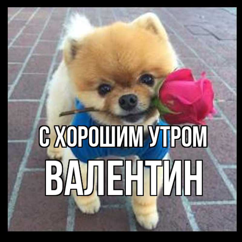 Картинка С хорошим утром, Валентин