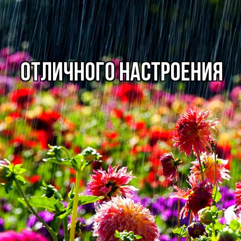 Картинка Люблю тебя, Габриэлла