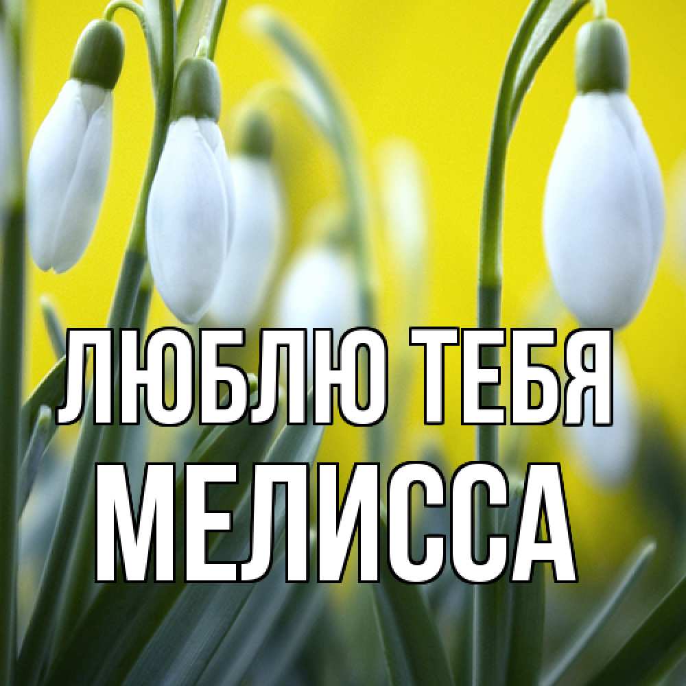 Открытка на каждый день с именем, Мелисса Люблю тебя весенние цветы Прикольная открытка с пожеланием онлайн скачать бесплатно 