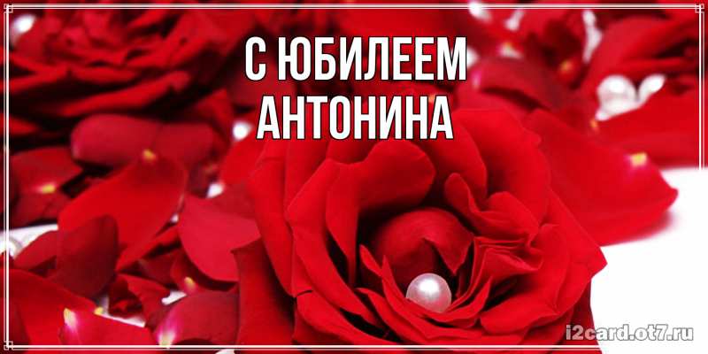 Картинка C юбилеем, Антонина