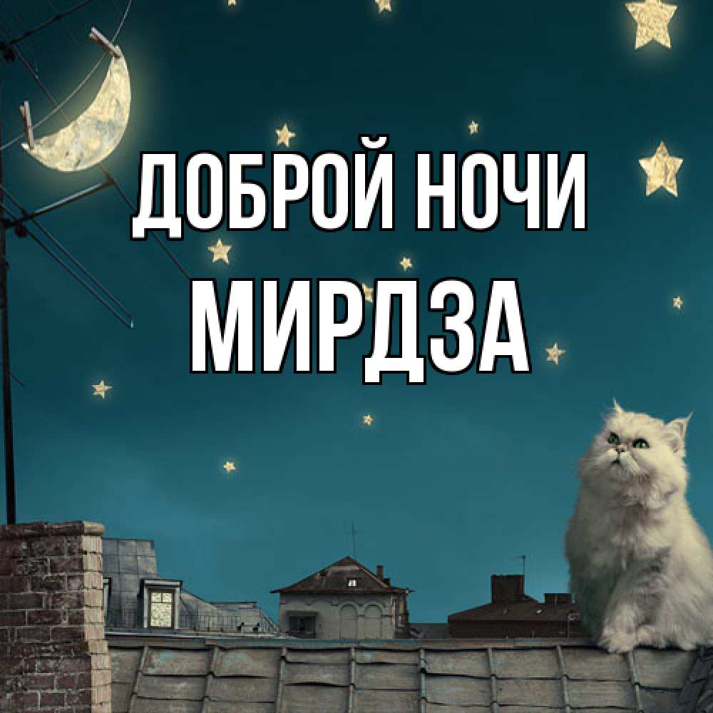 Открытка на каждый день с именем, Мирдза Доброй ночи белый кот сидит на крыше Прикольная открытка с пожеланием онлайн скачать бесплатно 