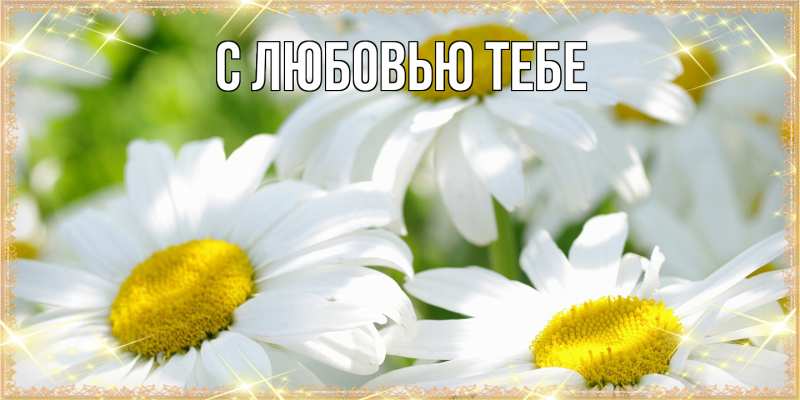 Картинка Люблю тебя, Жан