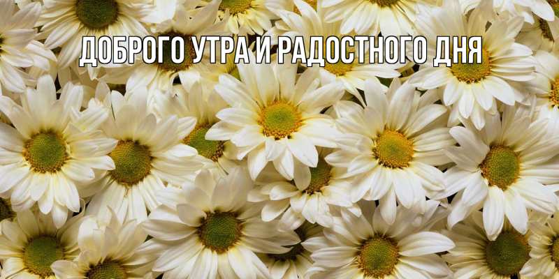 Открытка с именем, Ульманас, Отличного настроения