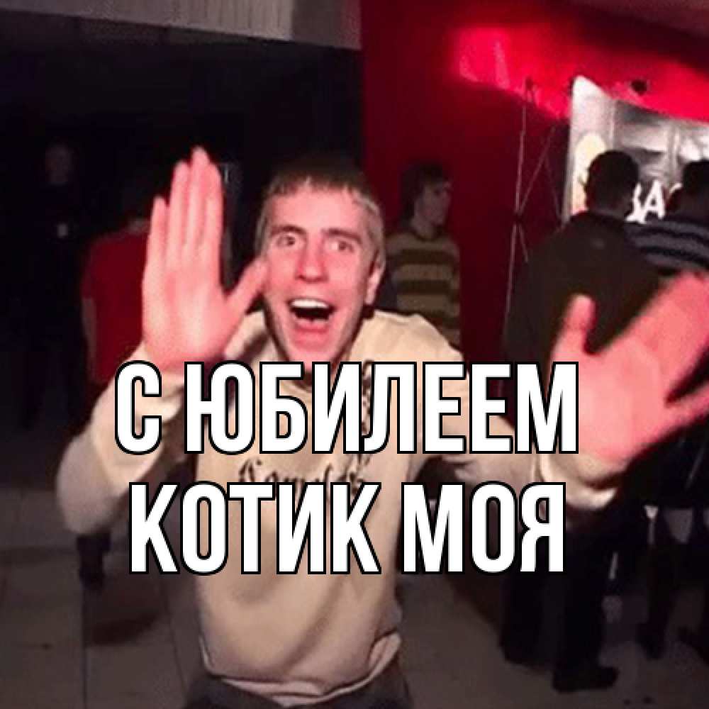 Открытка на каждый день с именем, Котик-моя C юбилеем Веселье Мем Прикольная открытка с пожеланием онлайн скачать бесплатно 