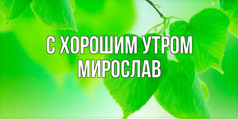 Картинка С хорошим утром, Мирослав