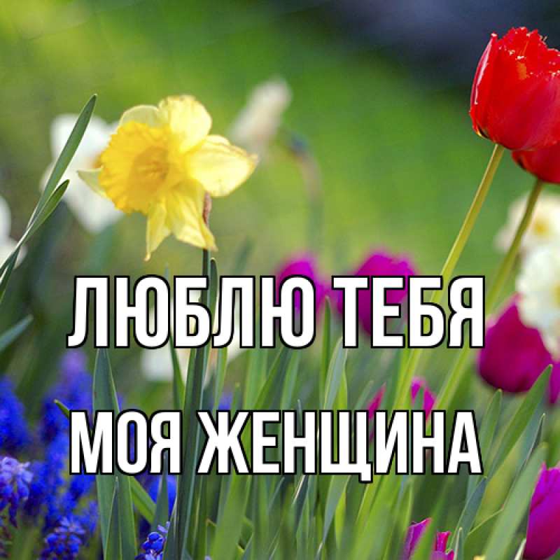 Картинка Люблю тебя, Моя женщина