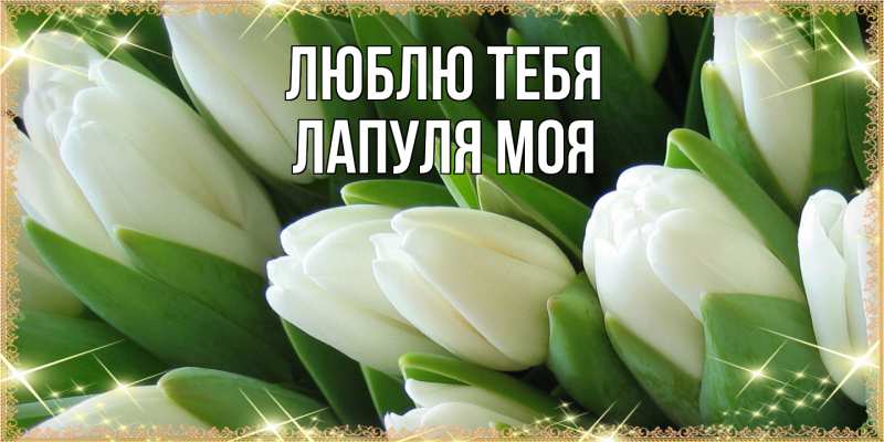 Картинка Люблю тебя, Лапуля моя