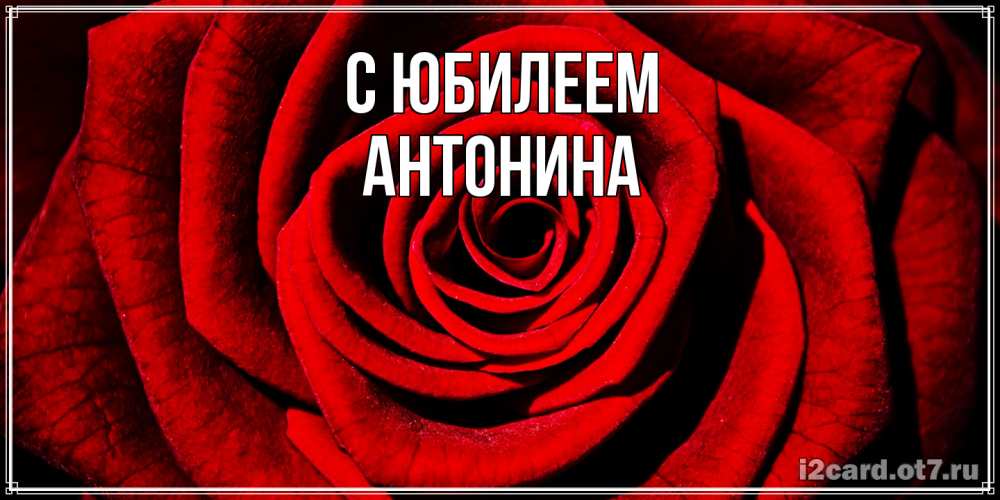 Открытка на каждый день с именем, Антонина C юбилеем алая роза Прикольная открытка с пожеланием онлайн скачать бесплатно 