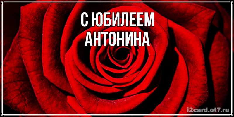 Картинка C юбилеем, Антонина