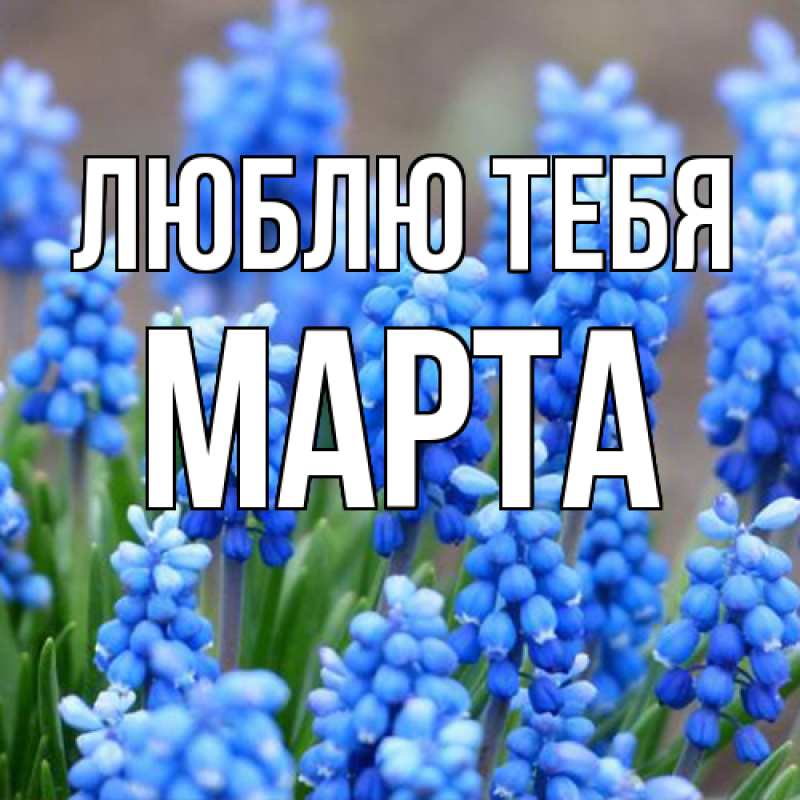 Картинка Люблю тебя, Марта