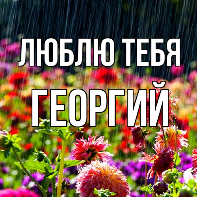 Картинка Люблю тебя, Георгий