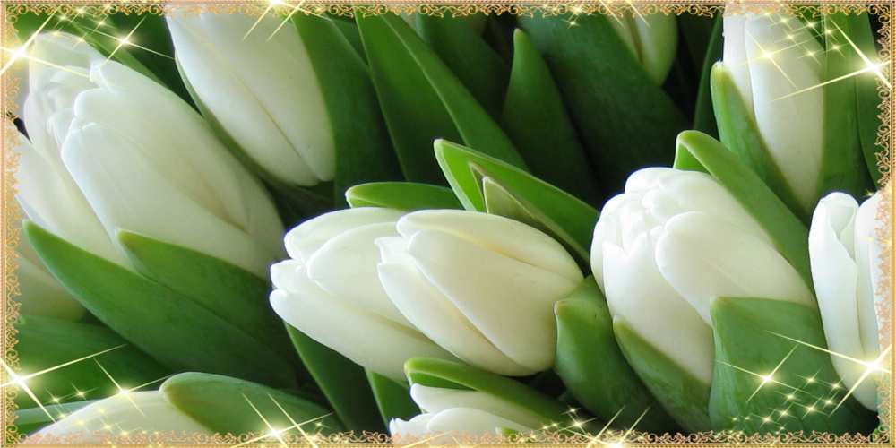 Открытка на каждый день с именем, Коля Люблю тебя поздравляем с 8 марта Прикольная открытка с пожеланием онлайн скачать бесплатно 