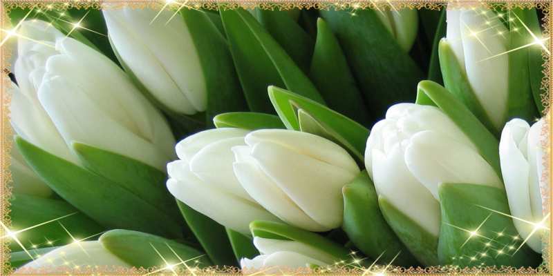 Картинка Люблю тебя, Коля