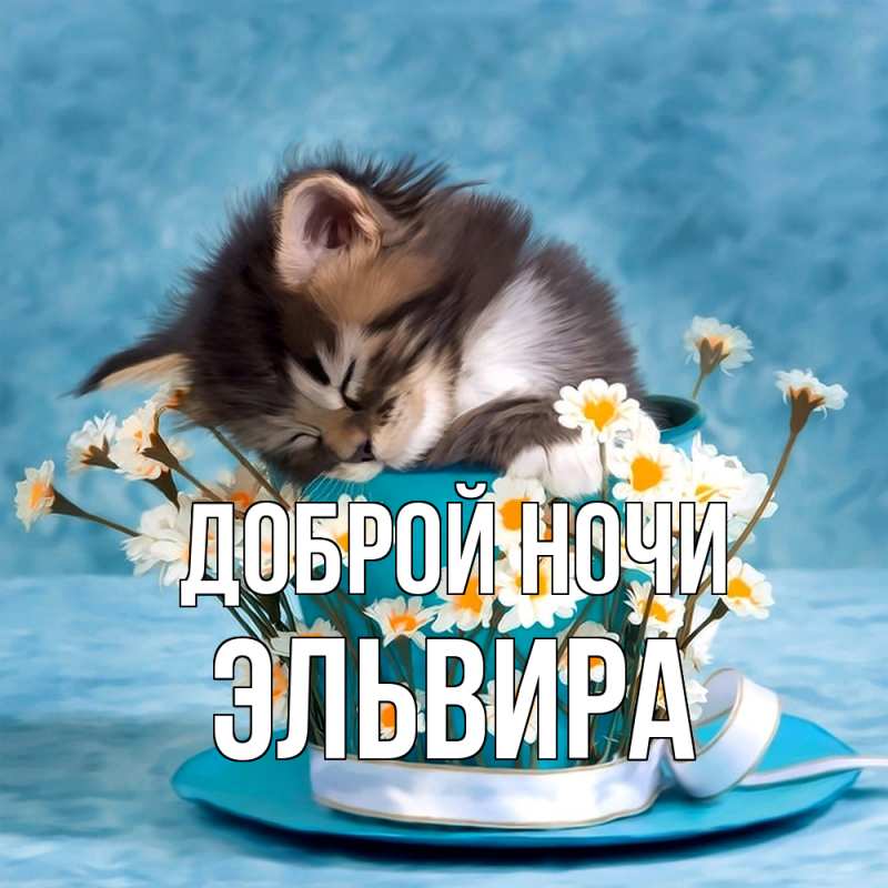 Картинка Доброй ночи, Эльвира