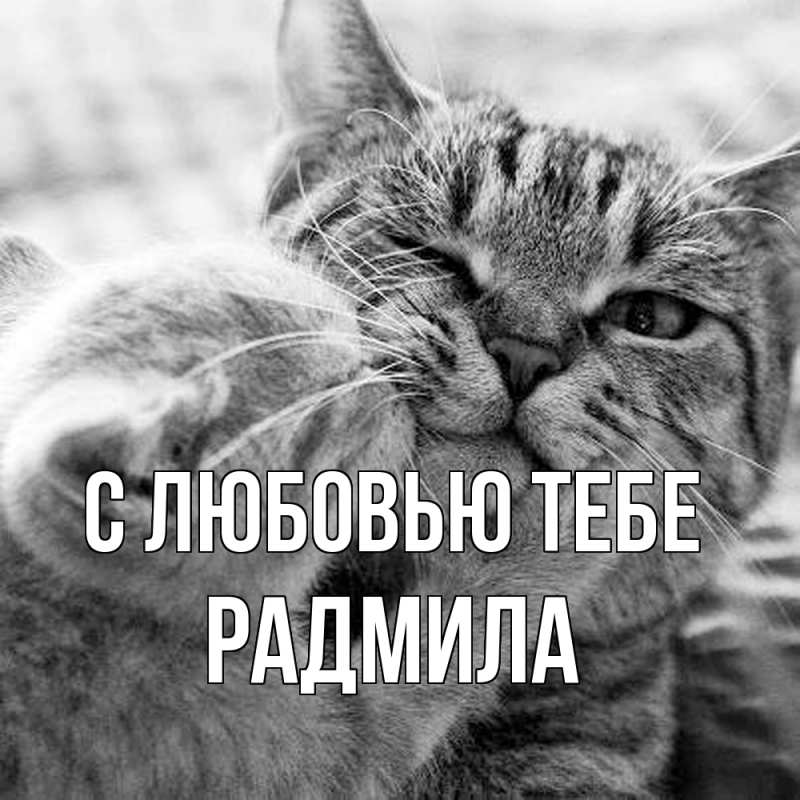 Картинка С любовью тебе, Радмила