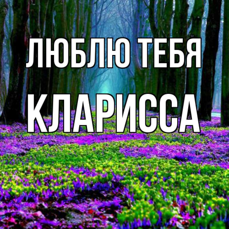 Картинка Люблю тебя, Кларисса