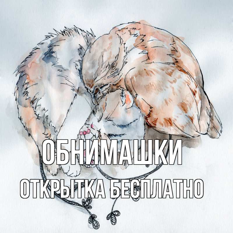 Картинка Обнимашки, открытка бесплатно