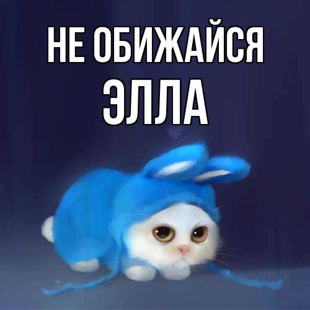 Открытка на каждый день с именем, Элла Не обижайся невинный котозай просит прощения Прикольная открытка с пожеланием онлайн скачать бесплатно 