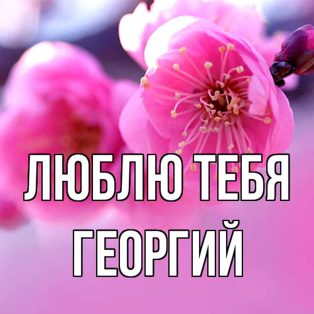 Открытка на каждый день с именем, Георгий Люблю тебя международный женский день Прикольная открытка с пожеланием онлайн скачать бесплатно 