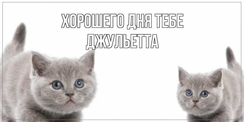 Картинка Хорошего дня тебе, Джульетта