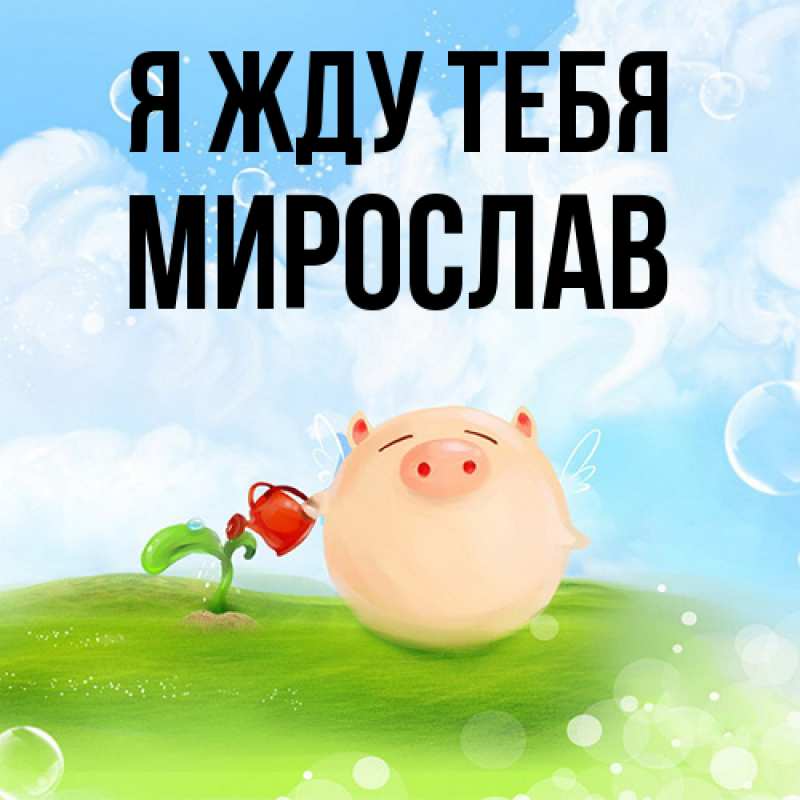 Картинка Я жду тебя, Мирослав