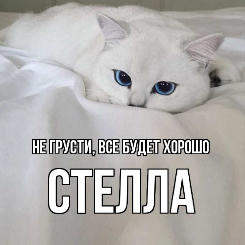 Открытка с именем, Стелла, Не грусти, все будет хорошо