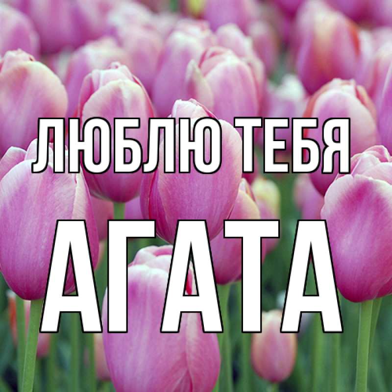 Картинка Люблю тебя, Агата