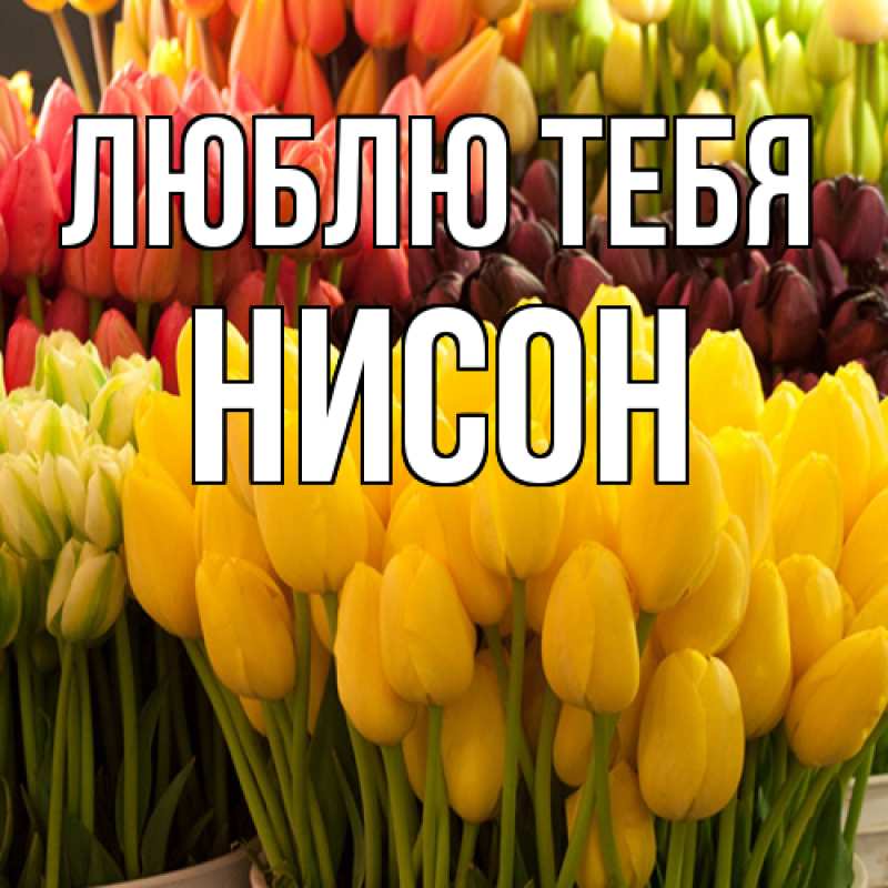 Открытка с именем, Нисон, Люблю тебя