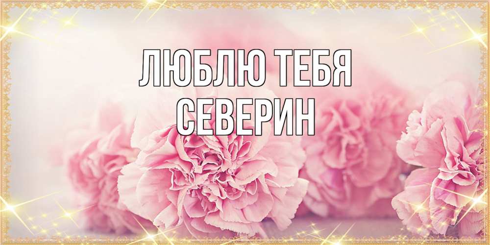 Открытка на каждый день с именем, Северин Люблю тебя розовые цветы на международный женский день Прикольная открытка с пожеланием онлайн скачать бесплатно 