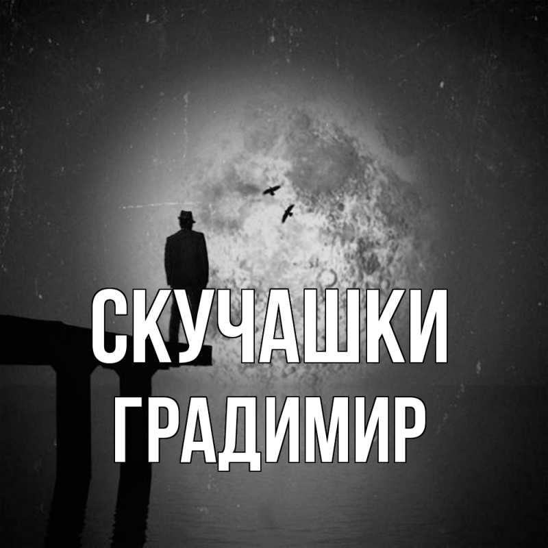 Картинка Скучашки, Градимир