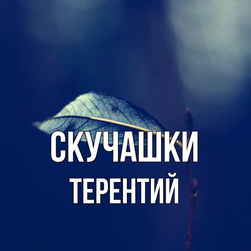 Картинка Скучашки, Терентий