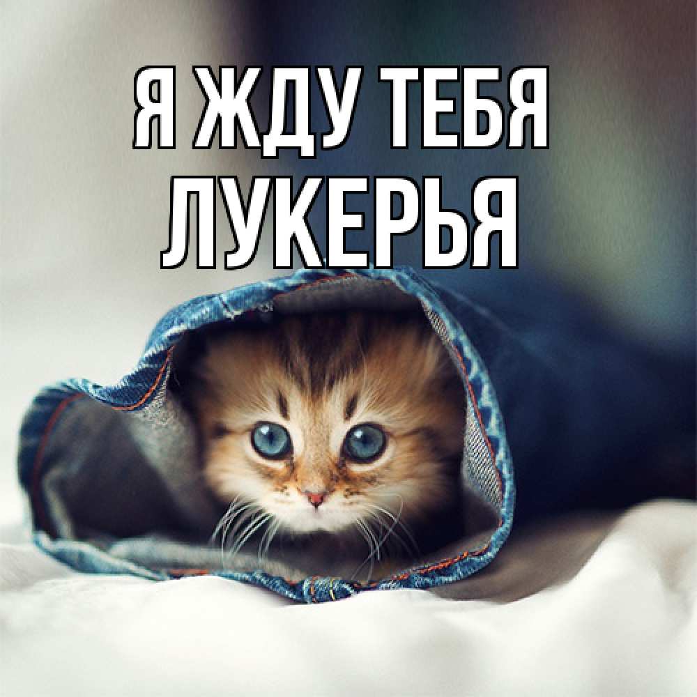 Открытка на каждый день с именем, Лукерья Я жду тебя мне без тебя плохо Прикольная открытка с пожеланием онлайн скачать бесплатно 