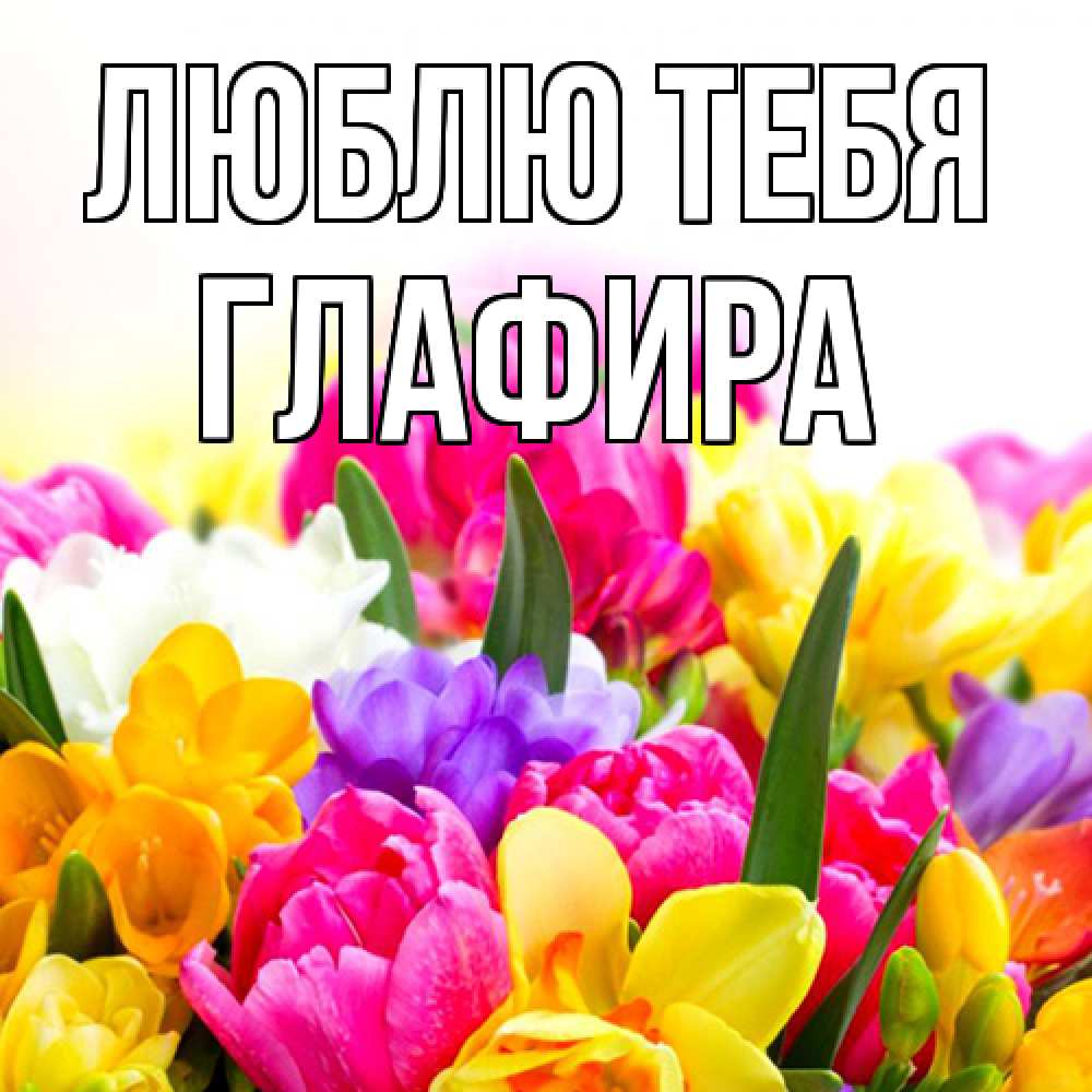 Открытка на каждый день с именем, Глафира Люблю тебя тюльпаны Прикольная открытка с пожеланием онлайн скачать бесплатно 