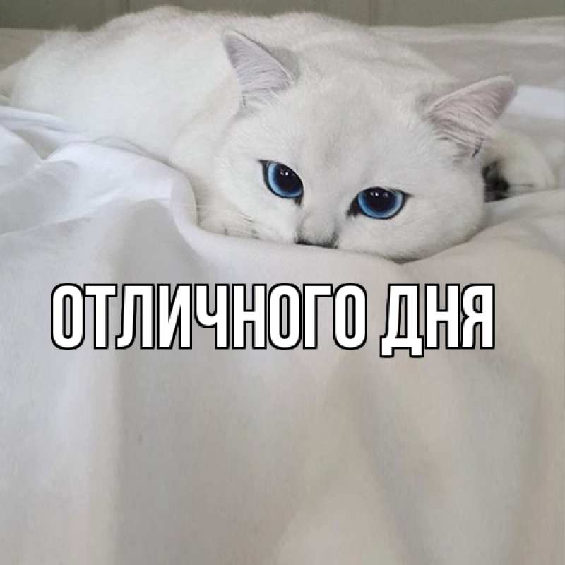 Картинка Я жду тебя, Ия