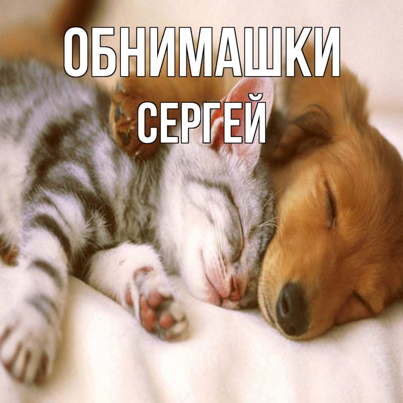 Картинка Обнимашки, Сергей