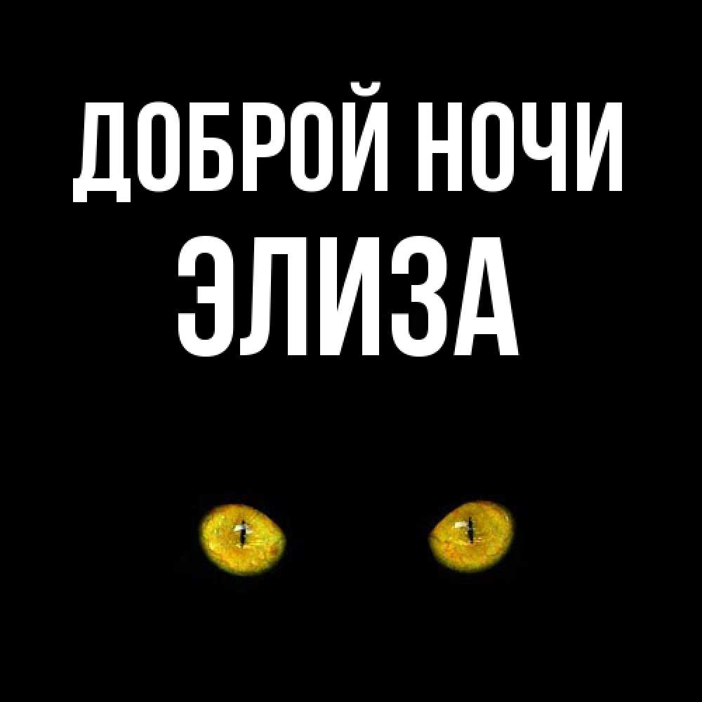 Открытка на каждый день с именем, Элиза Доброй ночи сладких снов бесстрашный мой дружочек Прикольная открытка с пожеланием онлайн скачать бесплатно 