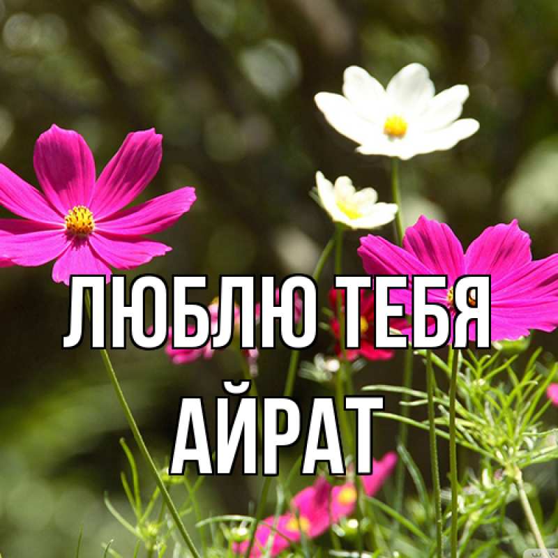 Открытка с именем, Айрат, Люблю тебя