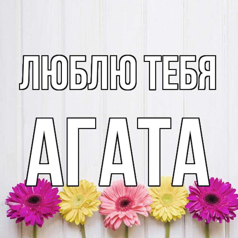 Картинка Люблю тебя, Агата