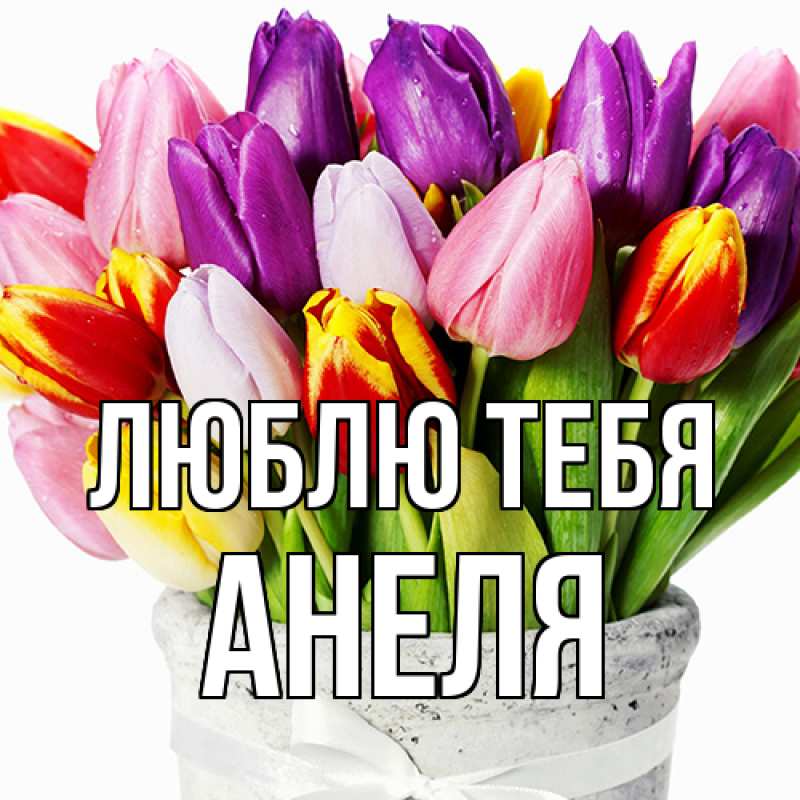 Картинка Люблю тебя, Анеля