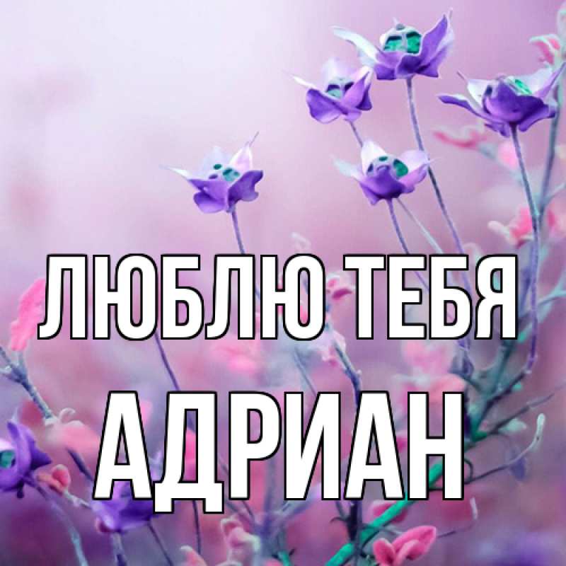 Открытка с именем, Адриан, Люблю тебя