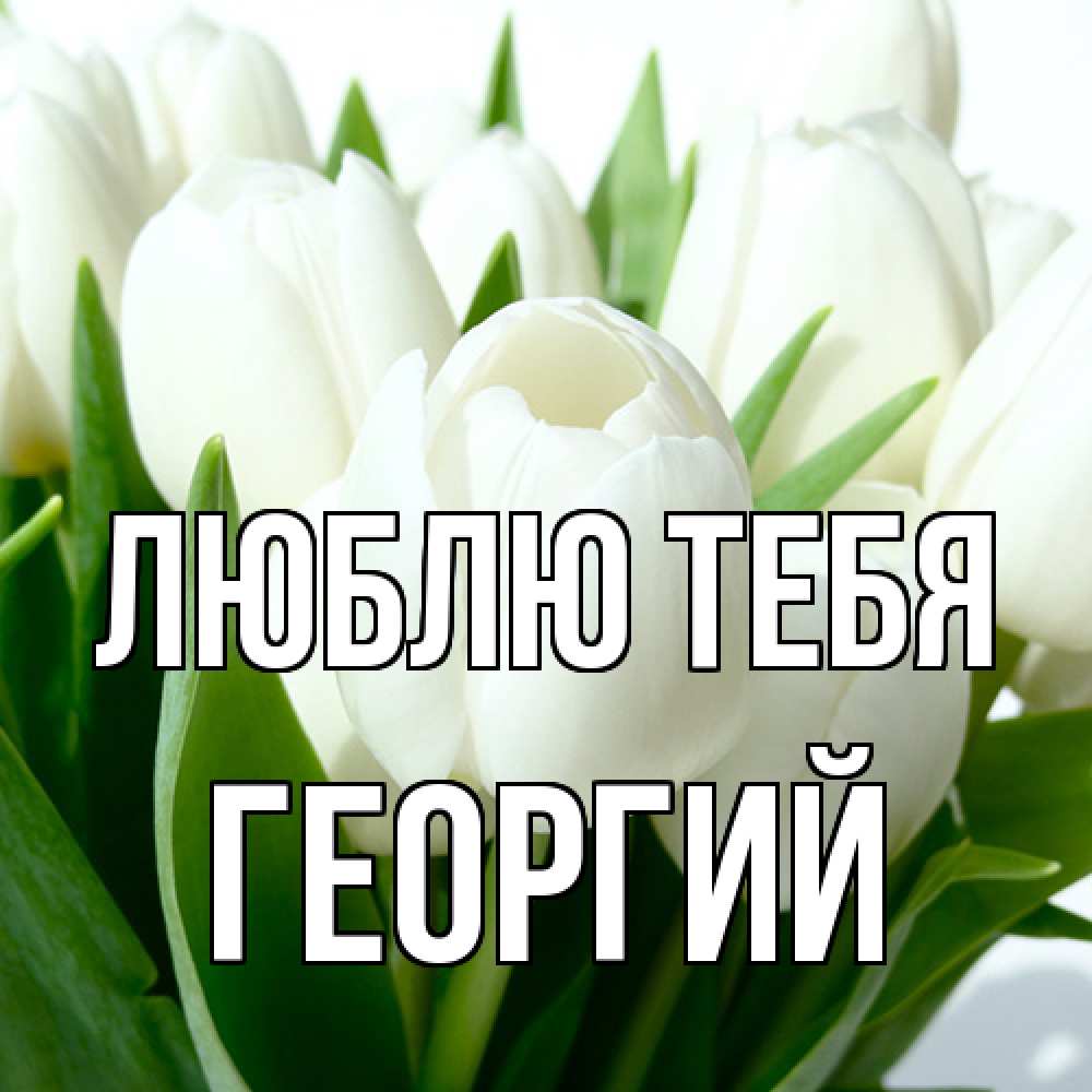 Открытка на каждый день с именем, Георгий Люблю тебя цветы Прикольная открытка с пожеланием онлайн скачать бесплатно 