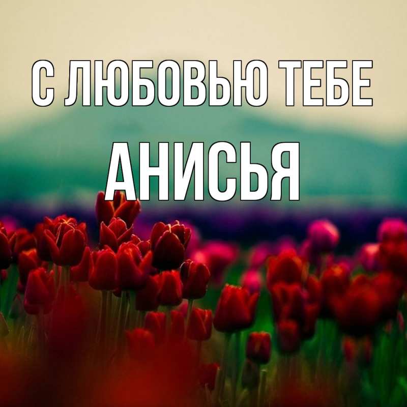 Картинка С любовью тебе, Анисья