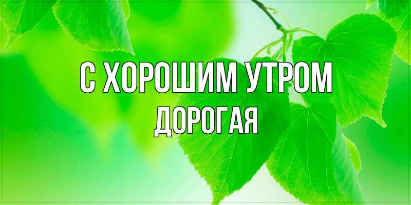 Картинка С хорошим утром, Дорогая