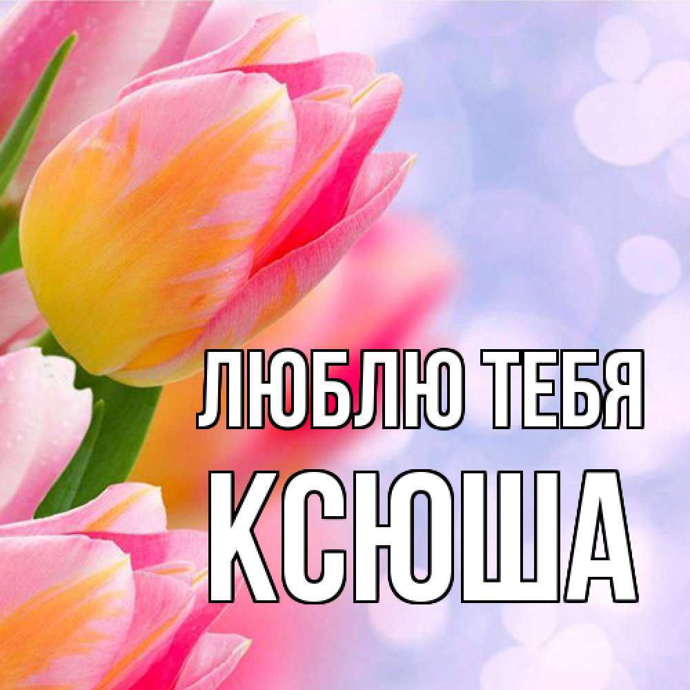 Открытка на каждый день с именем, Ксюша Люблю тебя тюльпаны 2 Прикольная открытка с пожеланием онлайн скачать бесплатно 