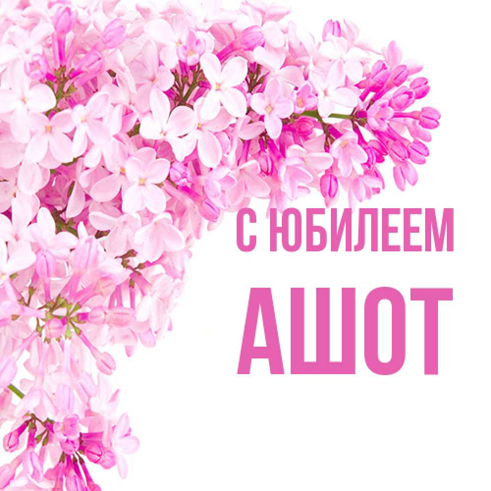 Открытка на каждый день с именем, Ашот C юбилеем Сирень на белом фоне Прикольная открытка с пожеланием онлайн скачать бесплатно 