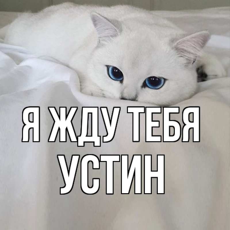 Картинка Я жду тебя, Устин